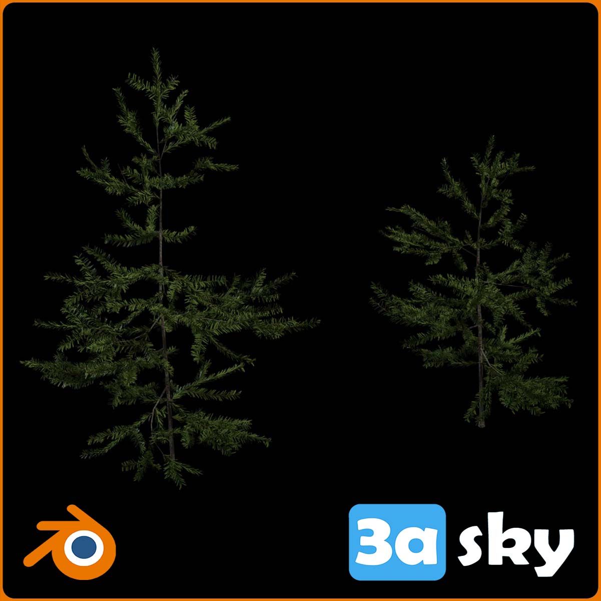 fir_sapling_4k.blend from BLENDER Models & Free Download